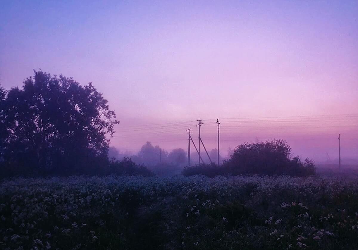 郑钦文再负萨巴伦卡，网友：没事，咱们继续“翻山”